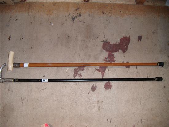2 walking sticks